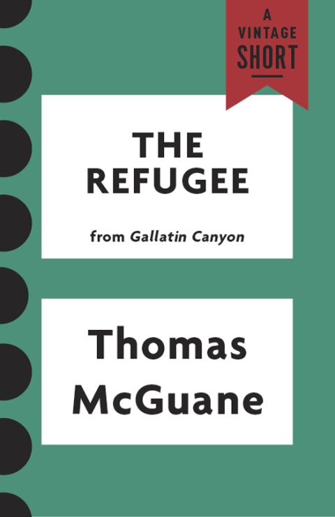 Cover image for book The Refugee