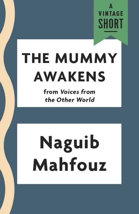 Cover image for book The Mummy Awakens