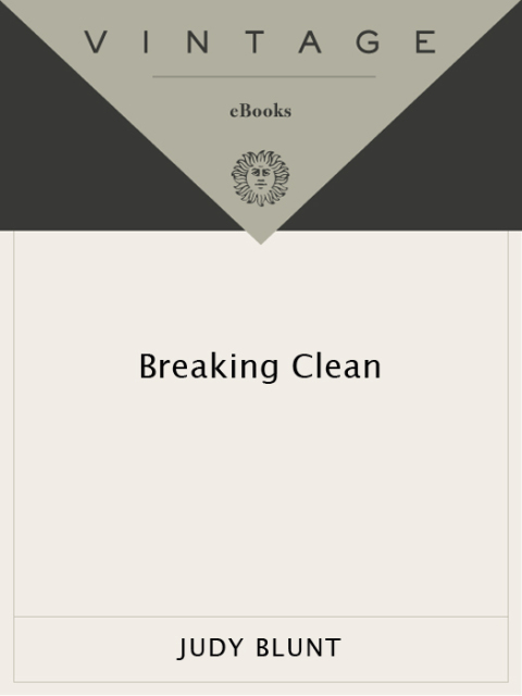 Cover image for book Breaking Clean