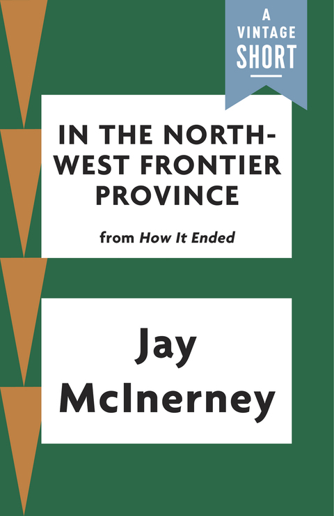 Cover image for book In the North-West Frontier Province