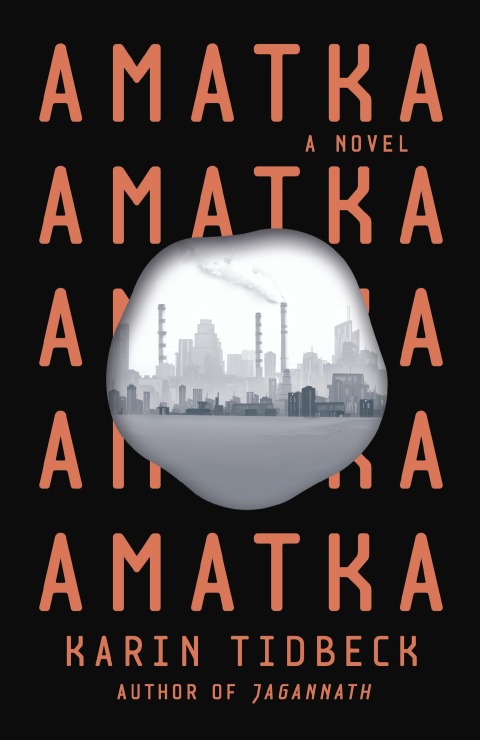 Cover image for book Amatka