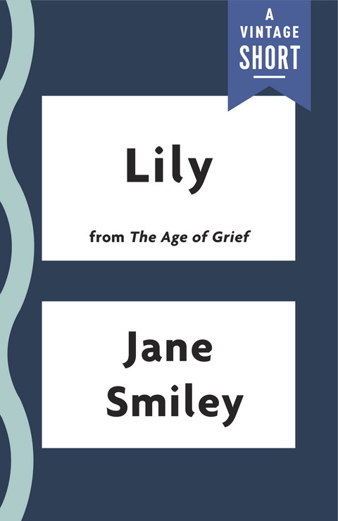 Cover image for book Lily
