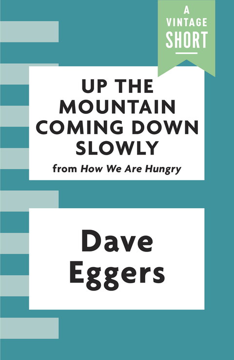Cover image for book Up the Mountain Coming Down Slowly