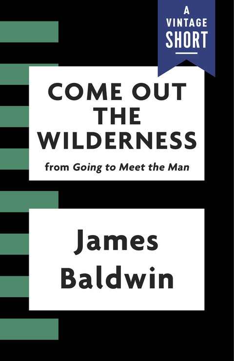 Cover image for book Come Out the Wilderness