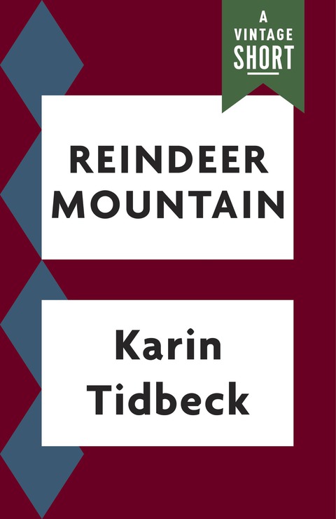 Cover image for book Reindeer Mountain