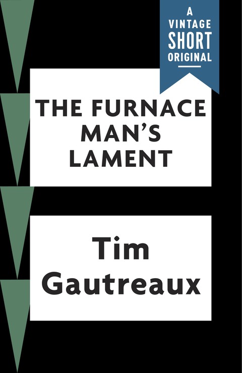 Cover image for book The Furnace Man's Lament