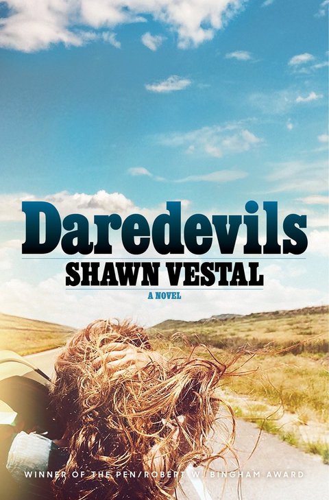 Cover image for book Daredevils