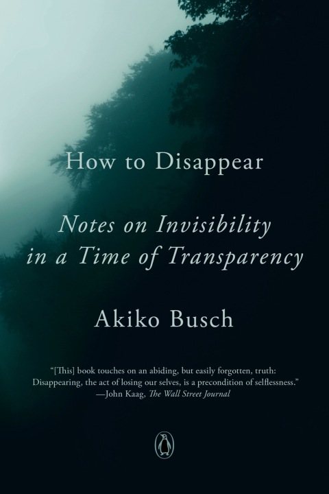 Cover image for book How to Disappear