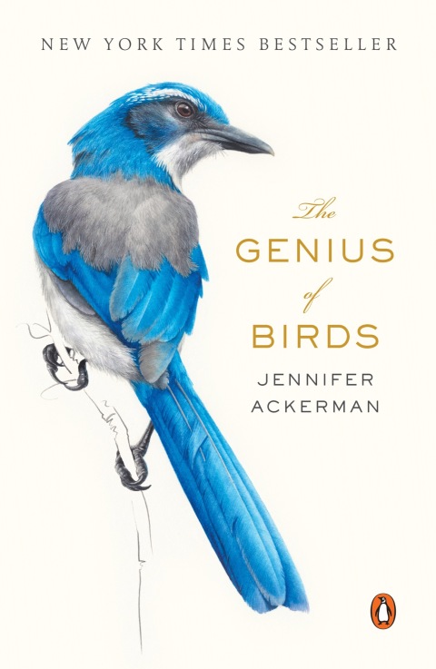Cover image for book The Genius of Birds