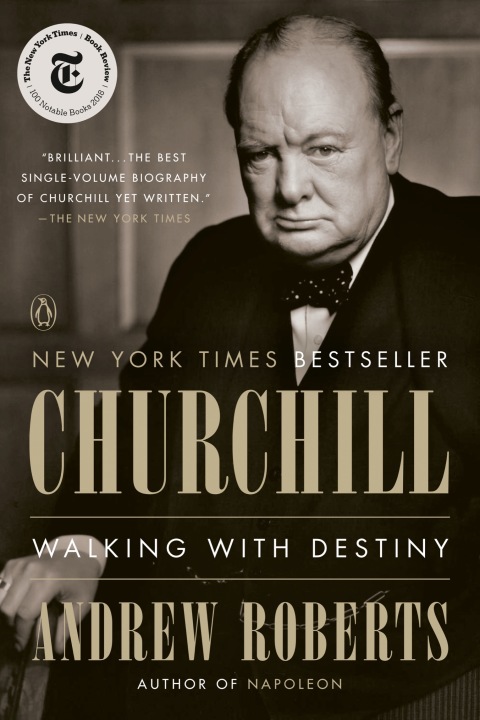 Cover image for book Churchill