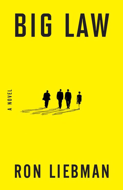 Cover image for book Big Law