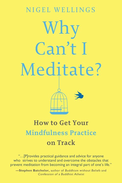 Cover image for book Why Can't I Meditate?