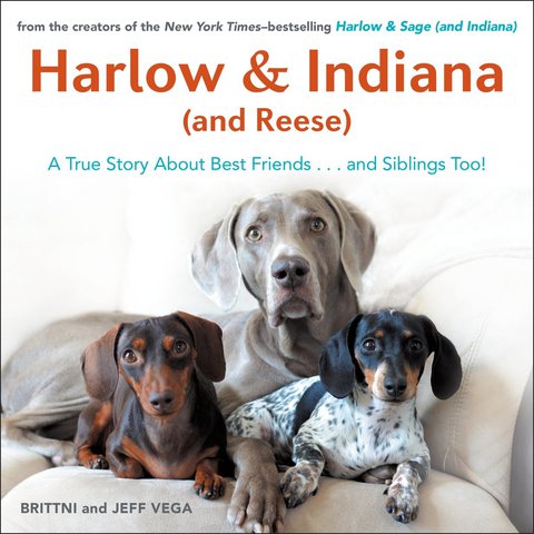 Cover image for book Harlow & Indiana (and Reese)