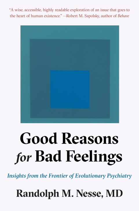 Cover image for book Good Reasons for Bad Feelings