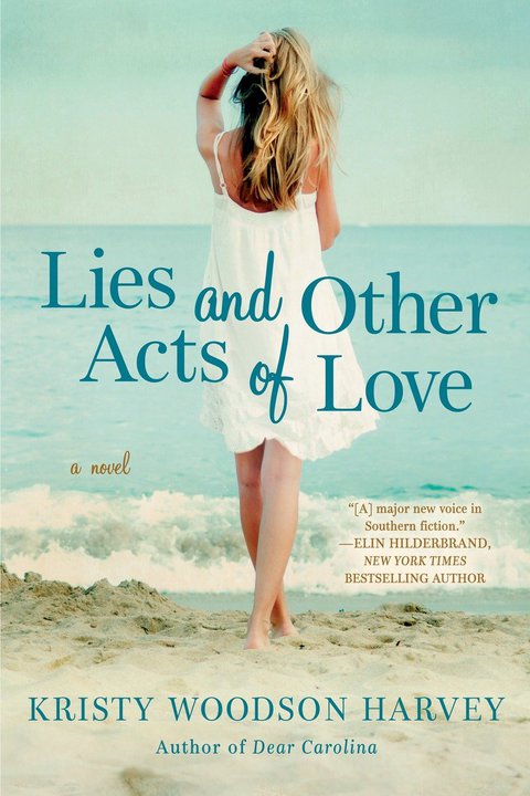 Cover image for book Lies and Other Acts of Love