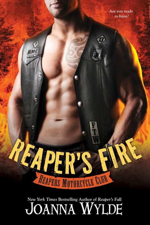 Cover image for book Reaper's Fire
