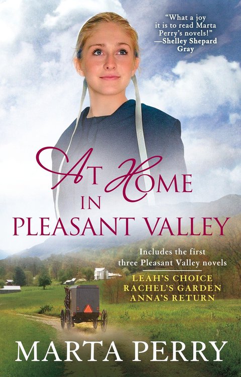 Cover image for book At Home in Pleasant Valley