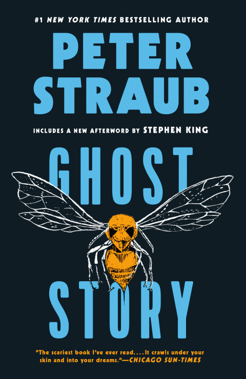 Cover image for book Ghost Story