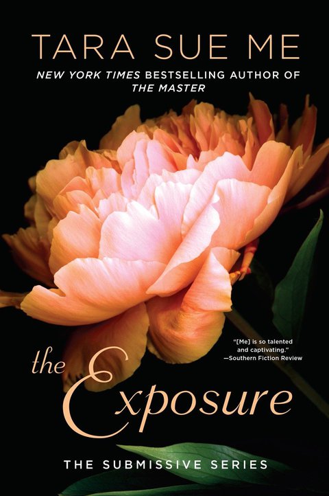 Cover image for book The Exposure