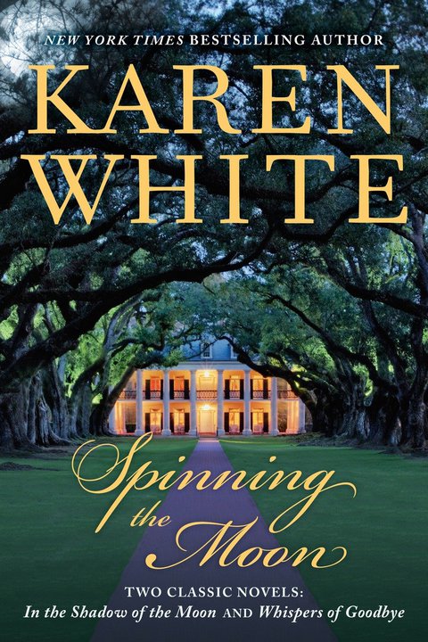 Cover image for book Spinning the Moon