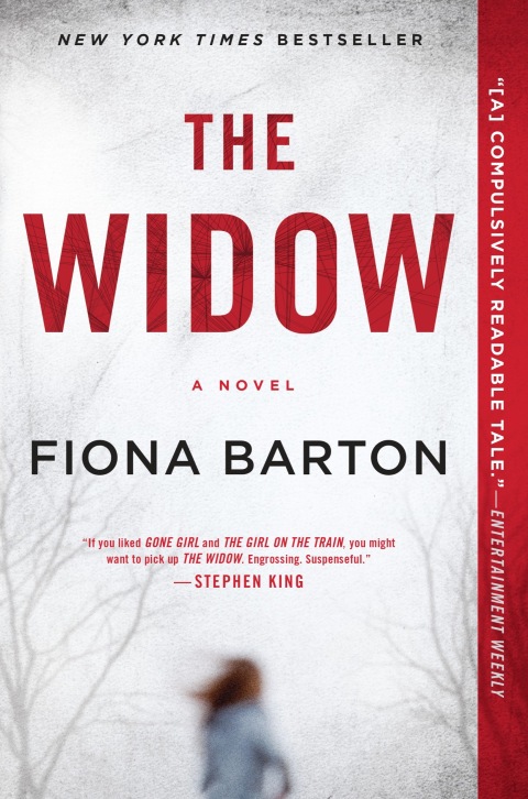 Cover image for book The Widow