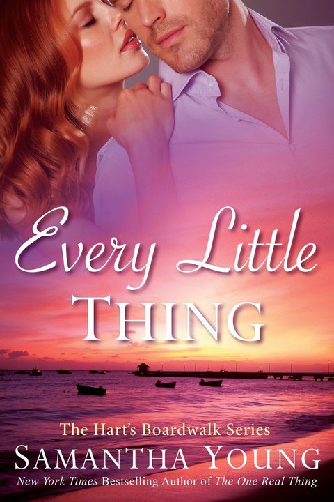 Cover image for book Every Little Thing