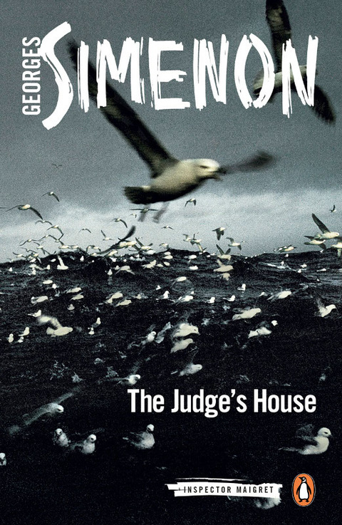 Cover image for book The Judge's House
