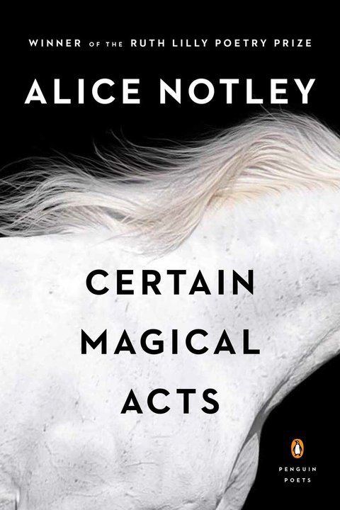 Cover image for book Certain Magical Acts