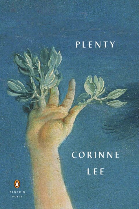 Cover image for book Plenty