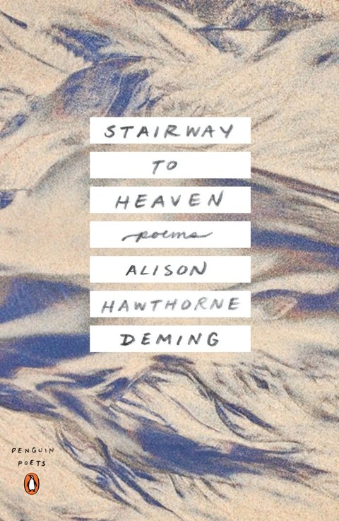 Cover image for book Stairway to Heaven