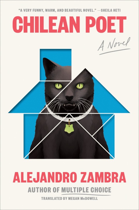 Cover image for book Chilean Poet