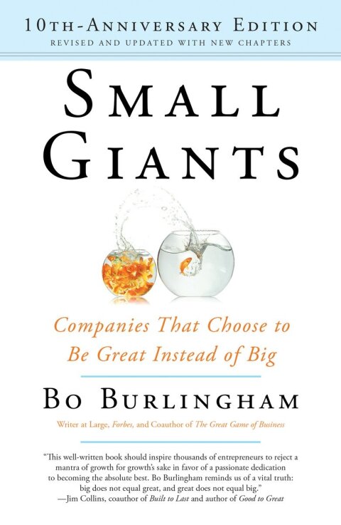 Cover image for book Small Giants