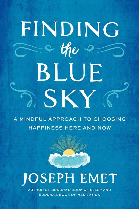 Cover image for book Finding the Blue Sky