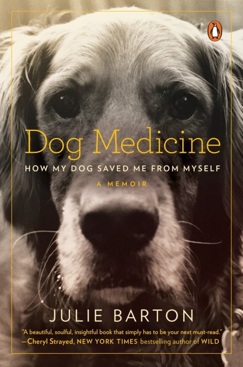 Cover image for book Dog Medicine