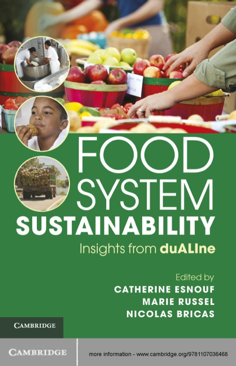 Cover image for book Food System Sustainability