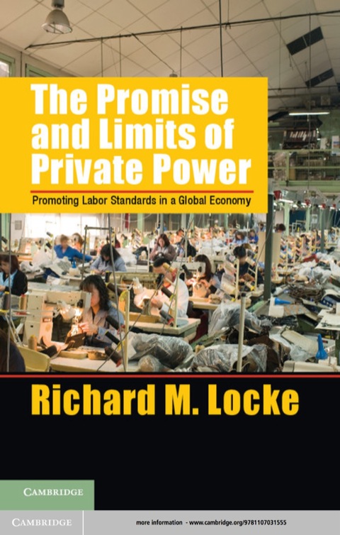 Cover image for book The Promise and Limits of Private Power