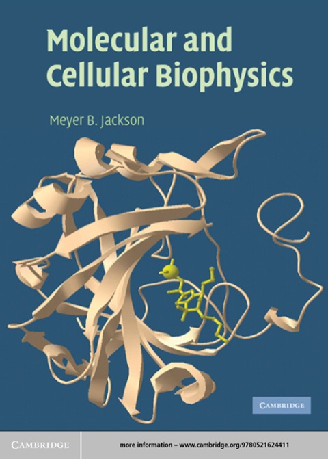 Cover image for book Molecular and Cellular Biophysics