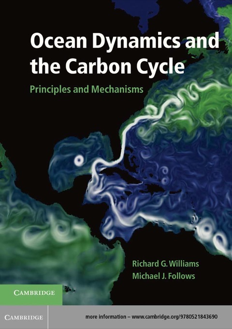 Ocean Dynamics and the Carbon Cycle 