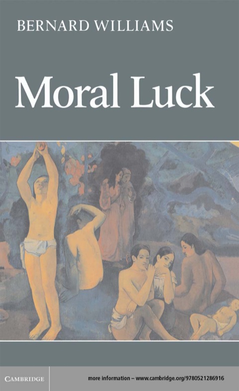 Cover image for book Moral Luck