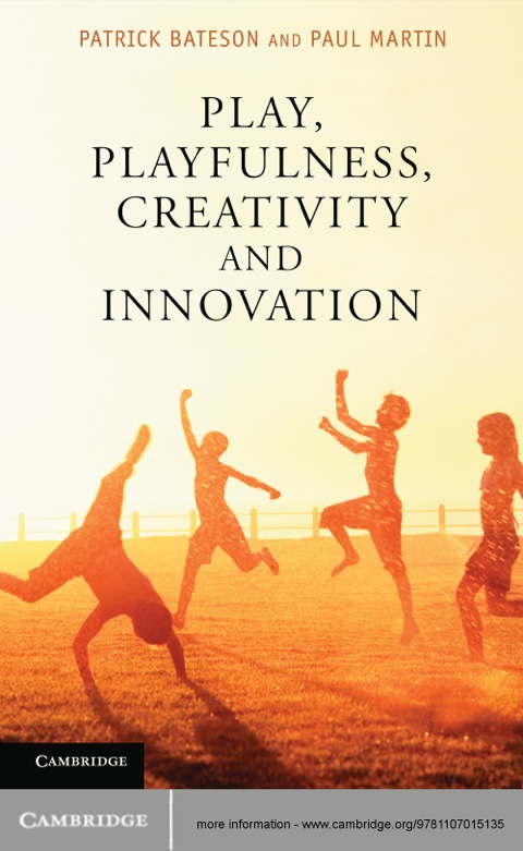 Play, Playfulness, Creativity and Innovation 