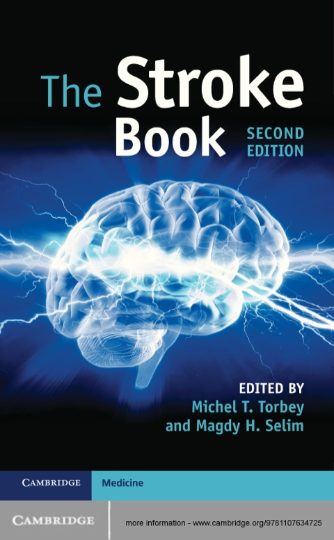 Cover image for book The Stroke Book
