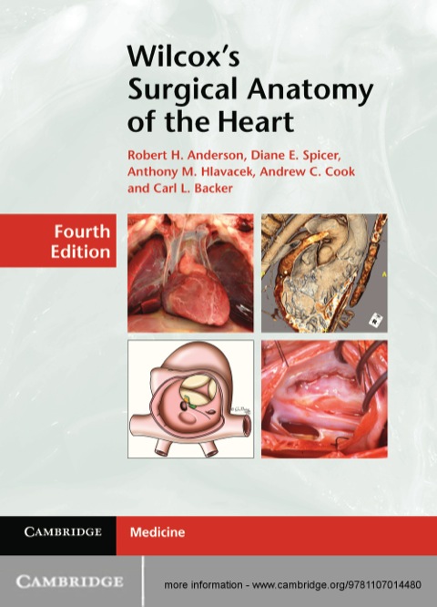 Wilcox's Surgical Anatomy of the Heart 