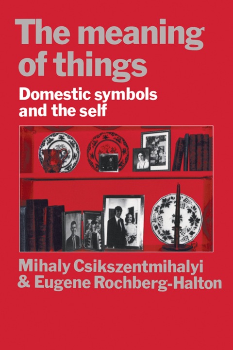 Cover image for book The Meaning of Things