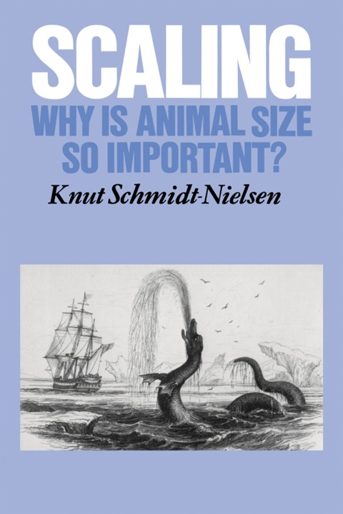Cover image for book Scaling