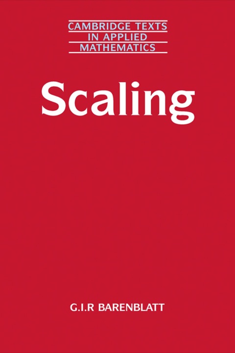 Cover image for book Scaling