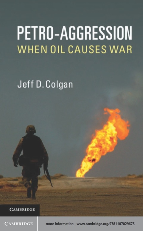 Cover image for book Petro-Aggression