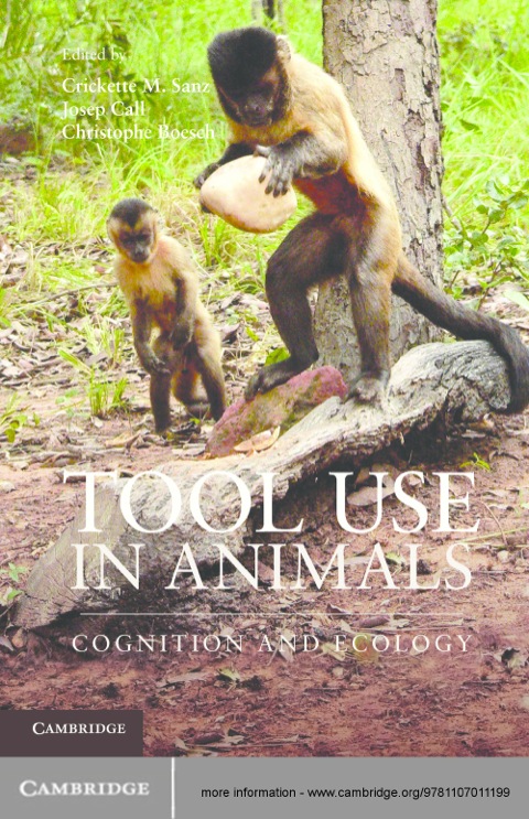 Cover image for book Tool Use in Animals