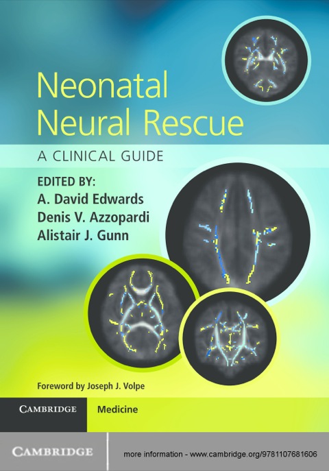 Cover image for book Neonatal Neural Rescue