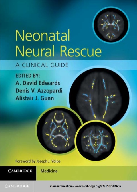 Cover image for book Neonatal Neural Rescue
