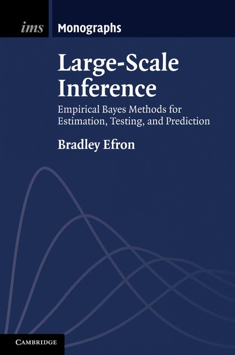 Large-Scale Inference 